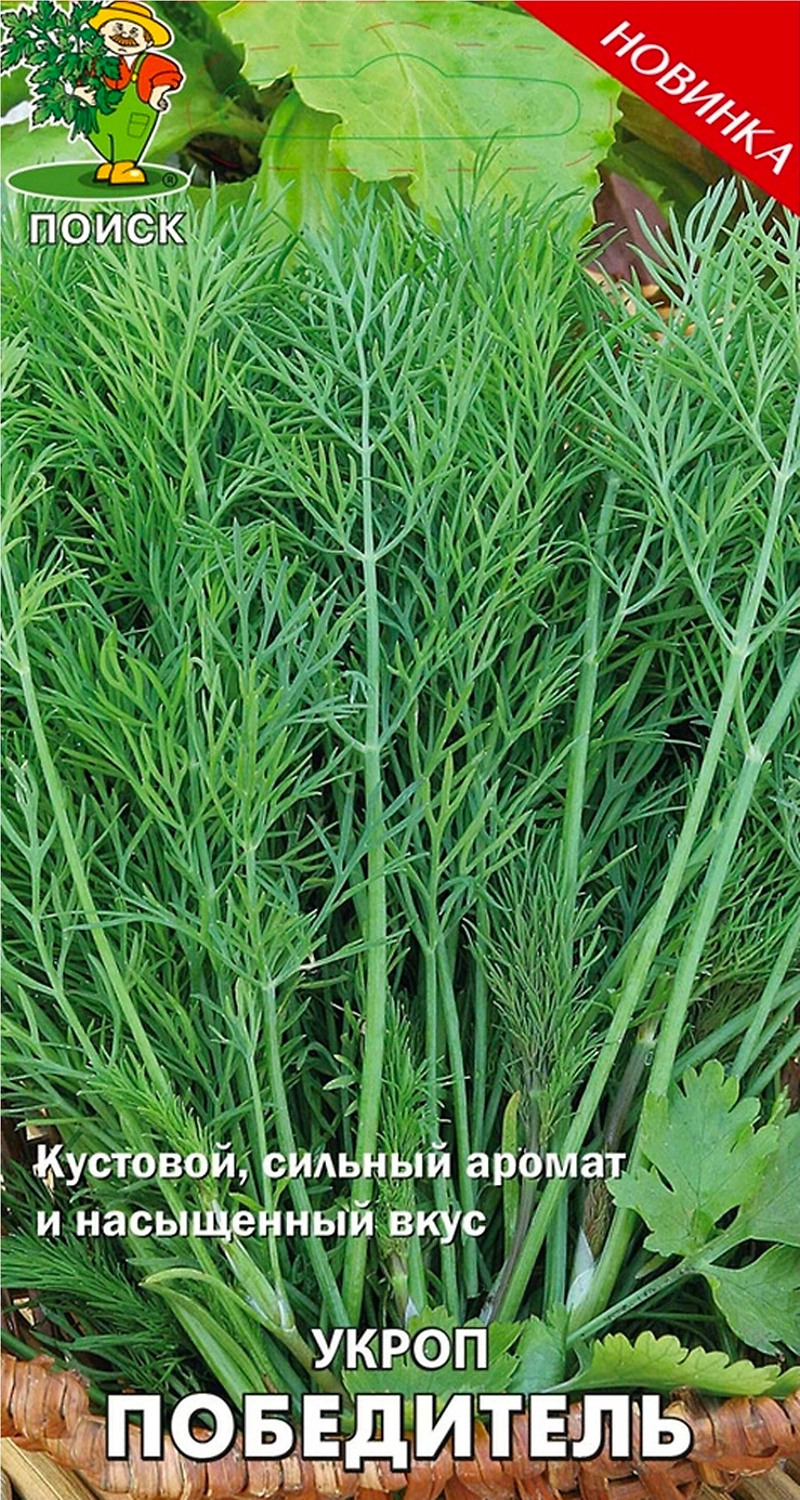 Семена Укропа ПОИСК Победитель 2 г