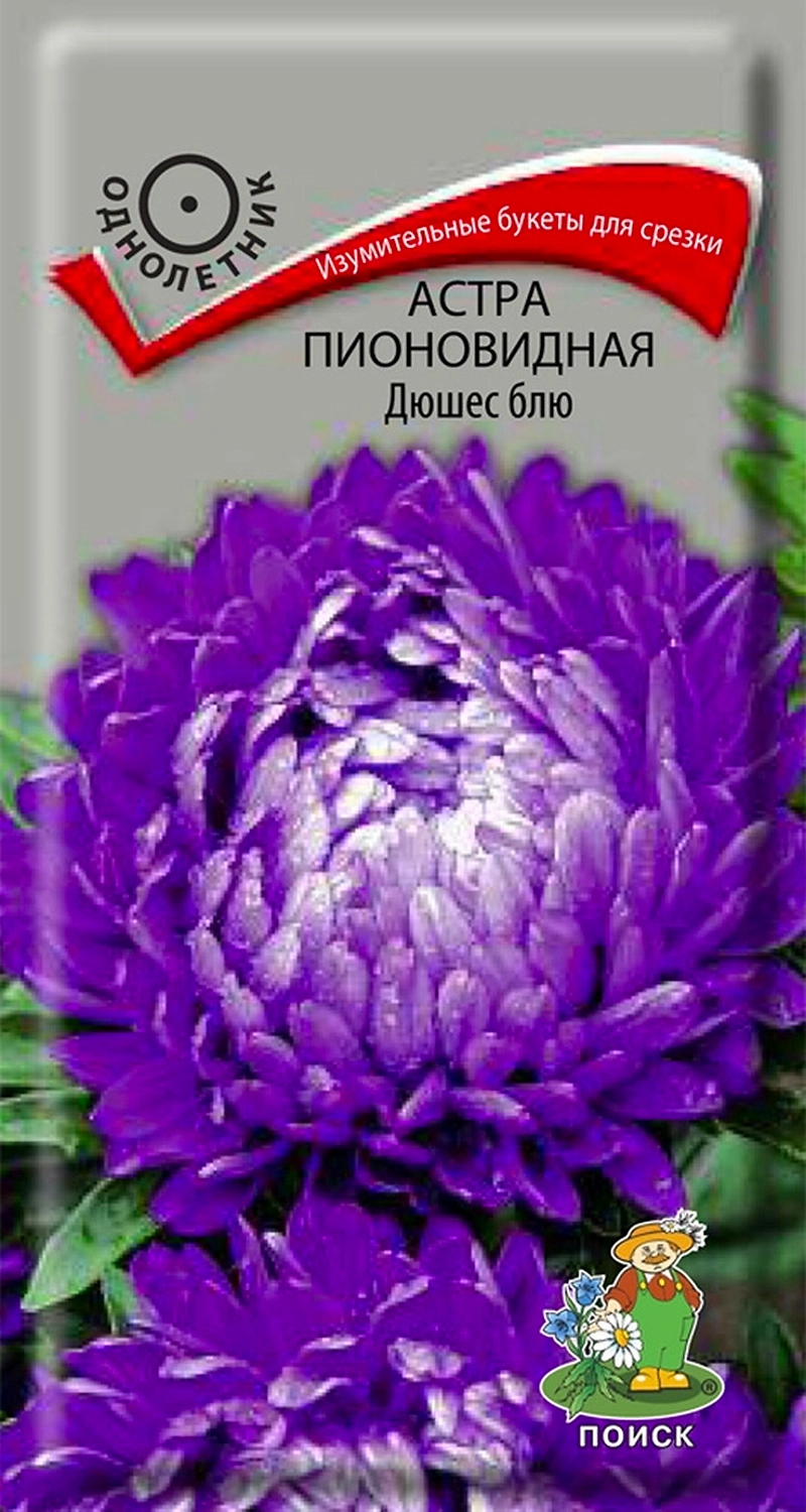 Семена Астры пионовидной ПОИСК Дюшес блю 3 г