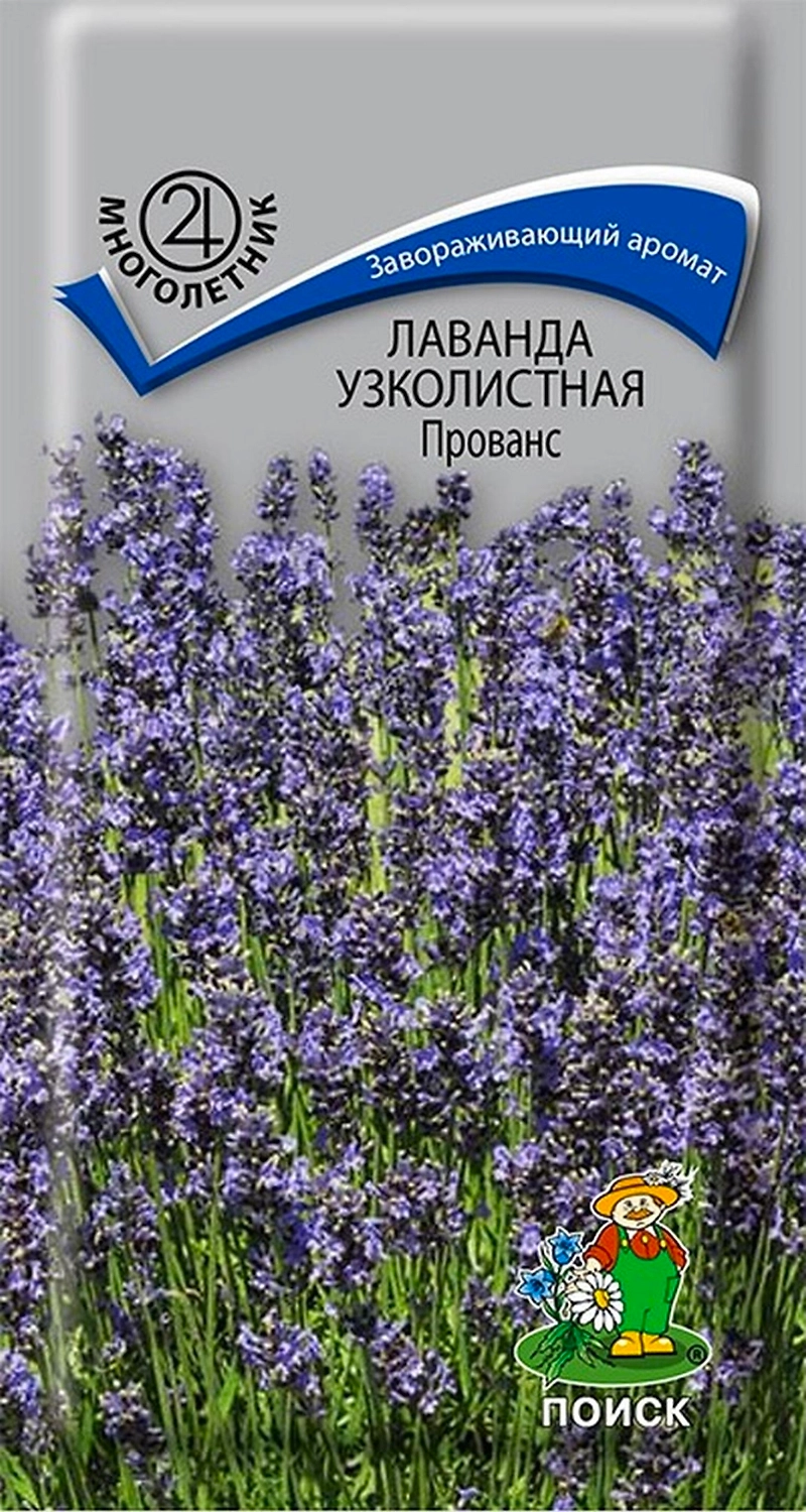 Семена Лаванды узколистной ПОИСК Прованс 1 г