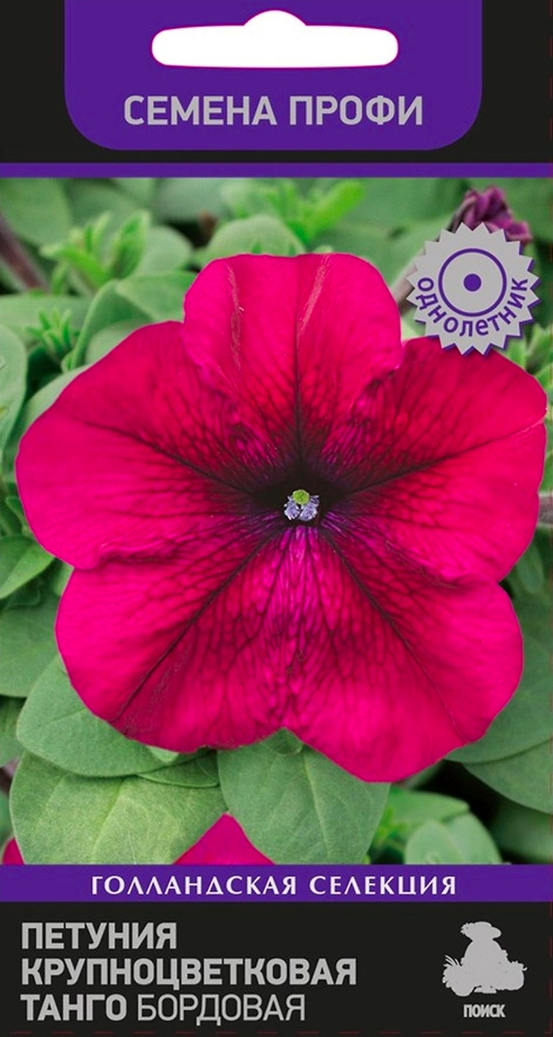 Семена Петунии ПОИСК Танго Бордовая 15 шт