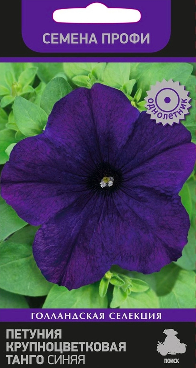 Семена Петунии крупноцветковой ПОИСК Танго синяя 15 шт
