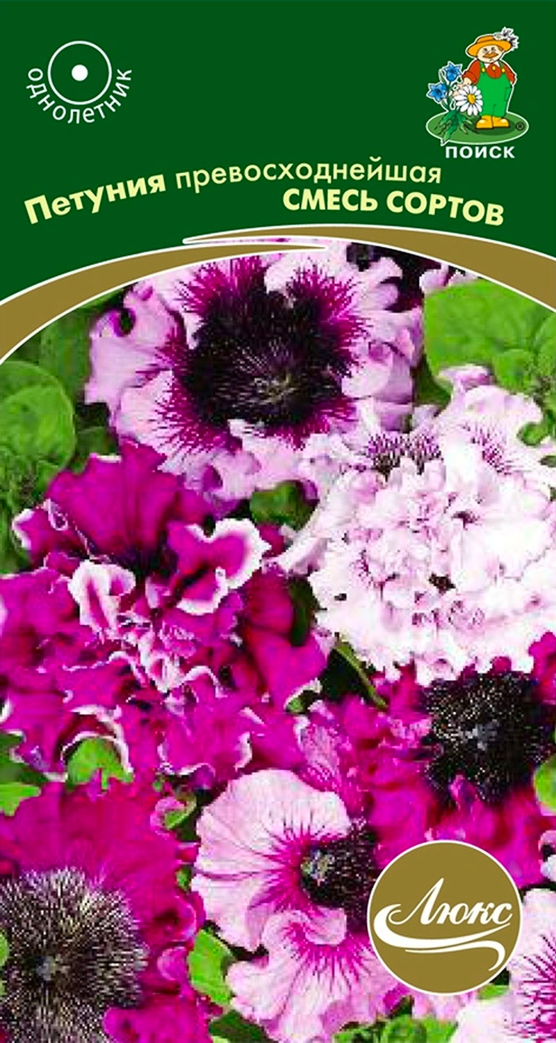 Семена Петунии превосходнейшей ПОИСК в ассортименте 10 шт