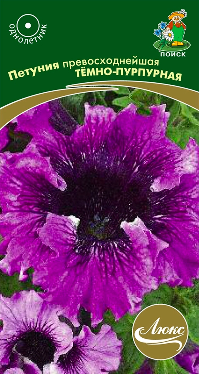 Семена Петунии ПОИСК Люкс Темно-пурпурная 10 шт
