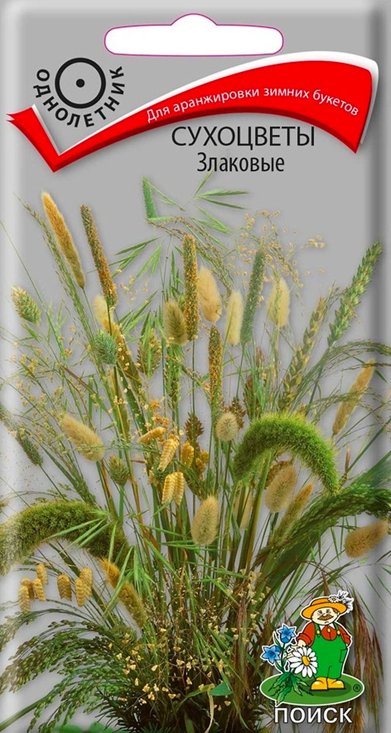 Семена сухоцветов ПОИСК Злаковые 0,3 г