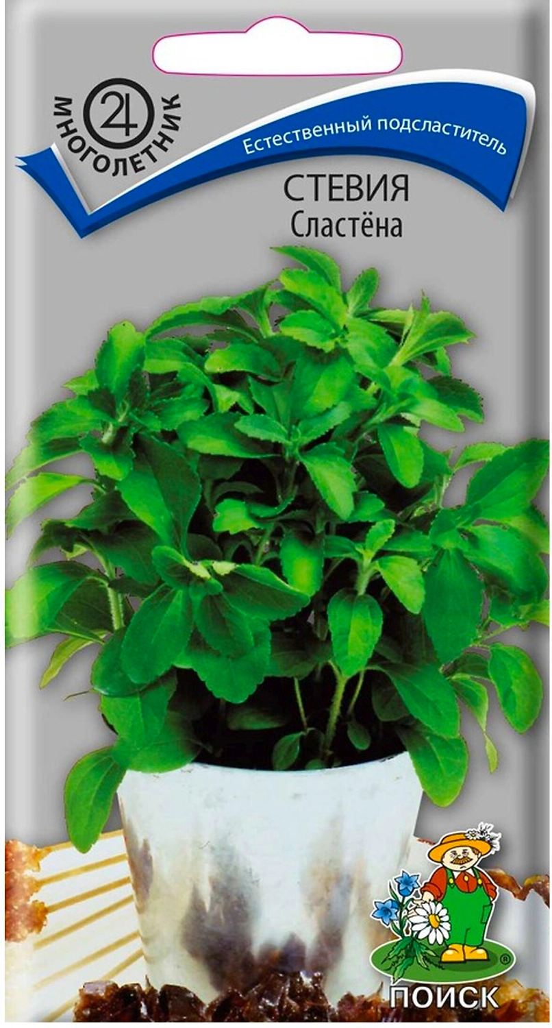 Семена Стевий ПОИСК Сластена 1 г 10 х 10 шт