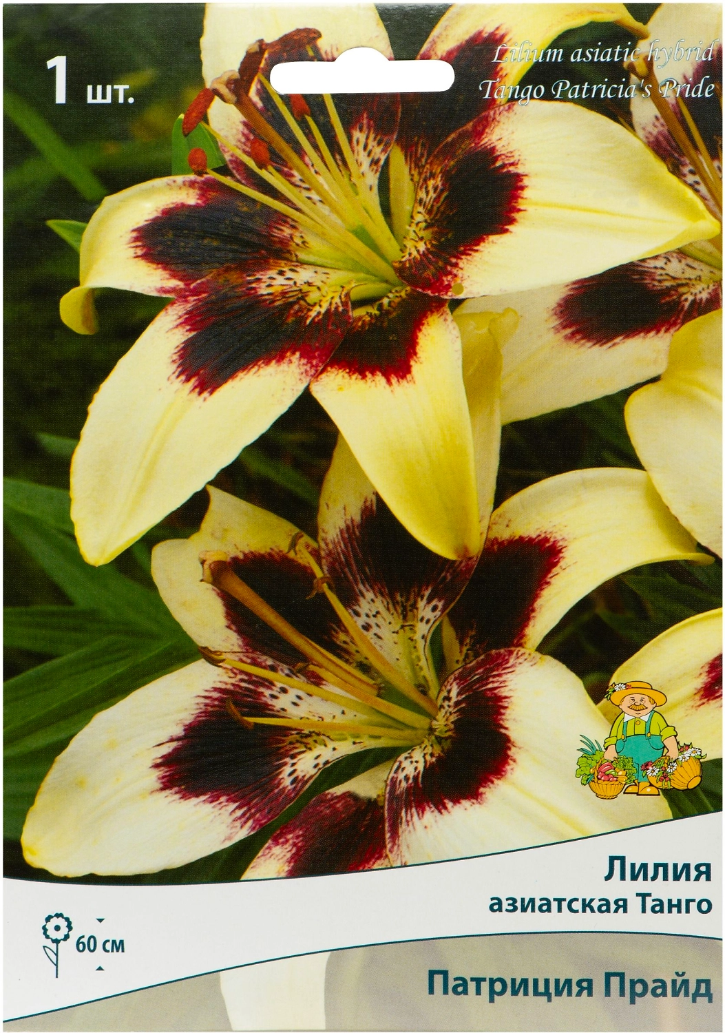 Луковица Лилии ПОИСК Патриция Прайд