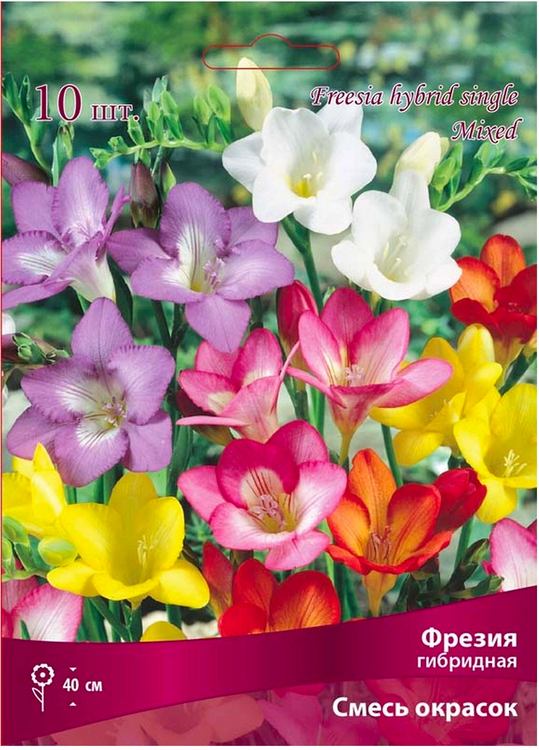 Луковицы Фрезии ПОИСК Смесь окрасок 10 x 1 шт