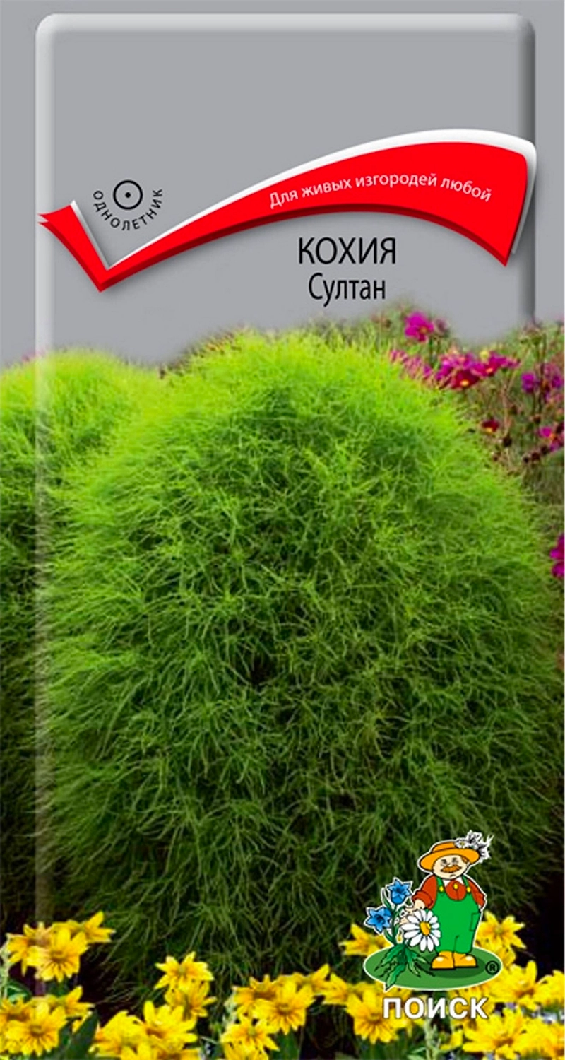 Семена Кохии ПОИСК Султан 0,2 г