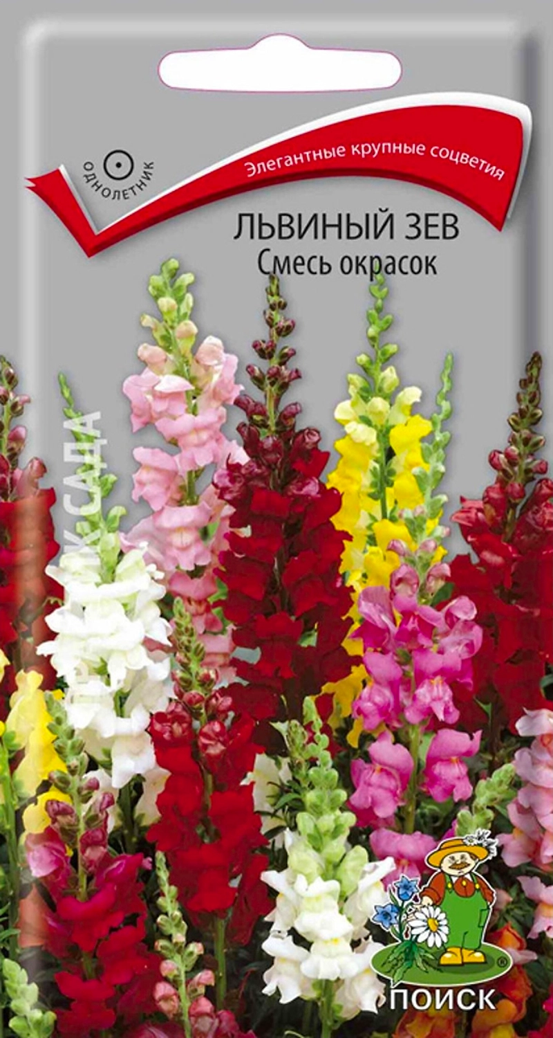 Семена Львиного зева ПОИСК Смесь окрасок 0,3 г