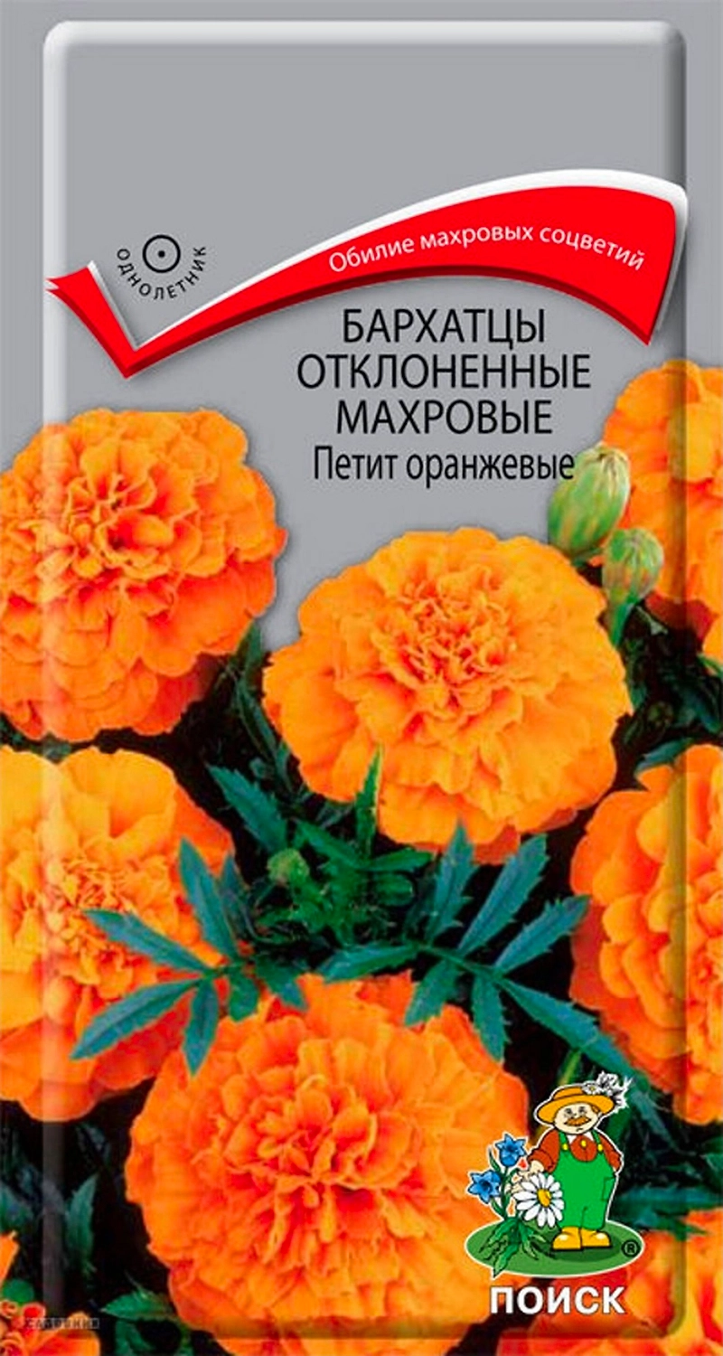 Семена Бархатца ПОИСК Петит оранжевый 0,3 г