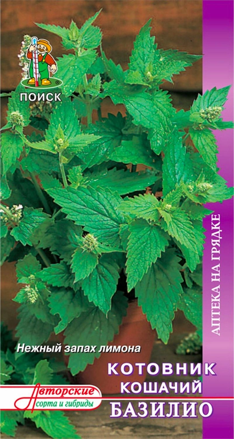 Семена Котовника ПОИСК Базилио 0,25 г