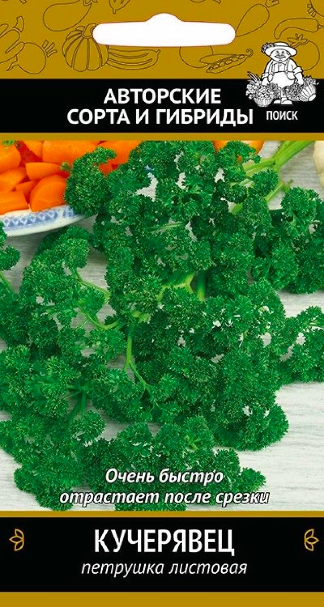Семена Петрушки кудрявой ПОИСК Кучерявец 3 г