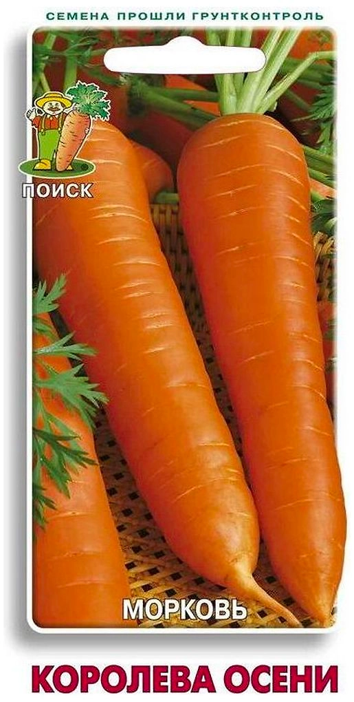 Семена Моркови ПОИСК Королева осени 0,5 г