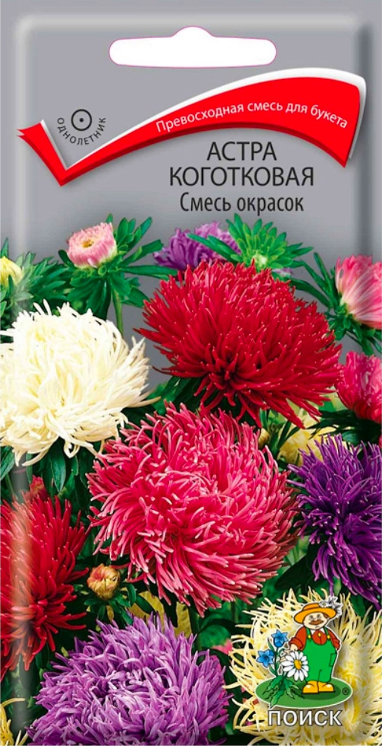 Семена Астры коготковой ПОИСК Смесь окрасок 0,3 г