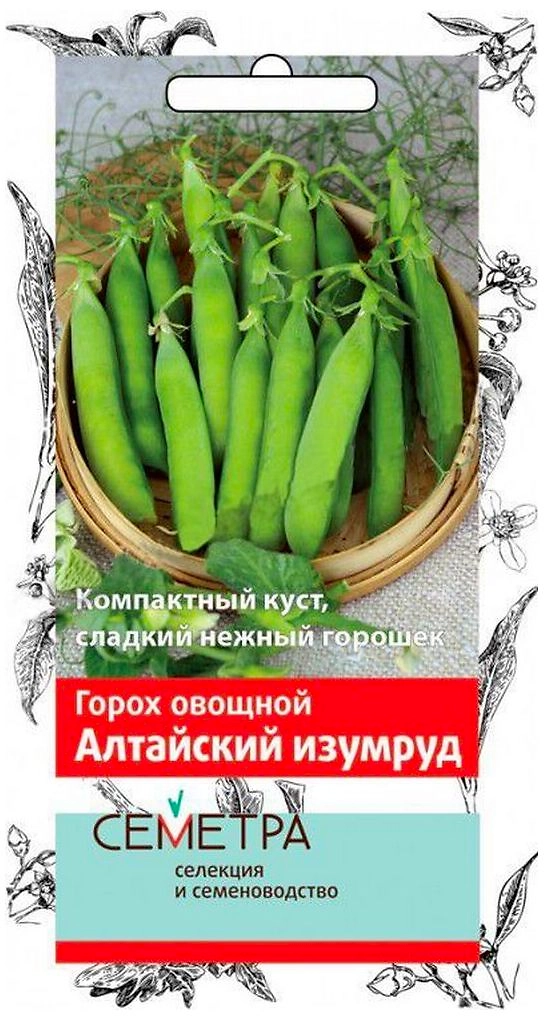 Семена Гороха ПОИСК Алтайский изумруд 10 г