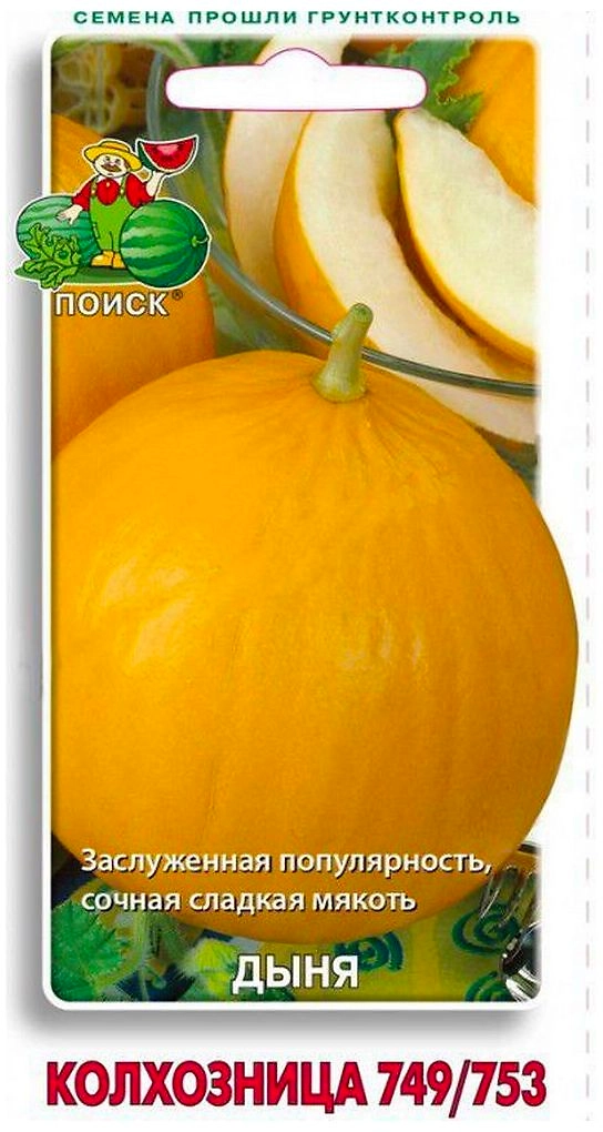 Семена Дыни ПОИСК Колхозница 15 шт