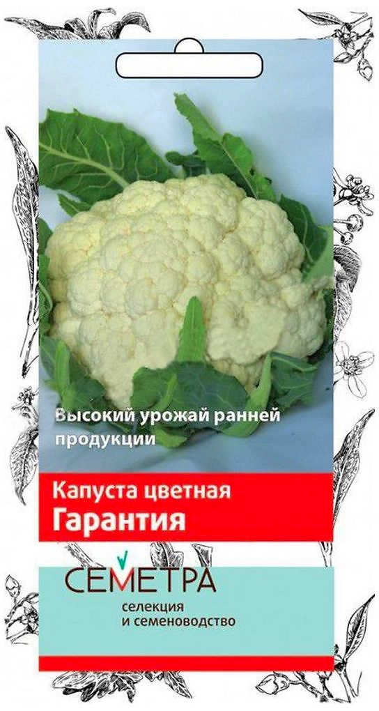 Семена Капусты ПОИСК СЕМЕТРА Гарантия 0,5 г