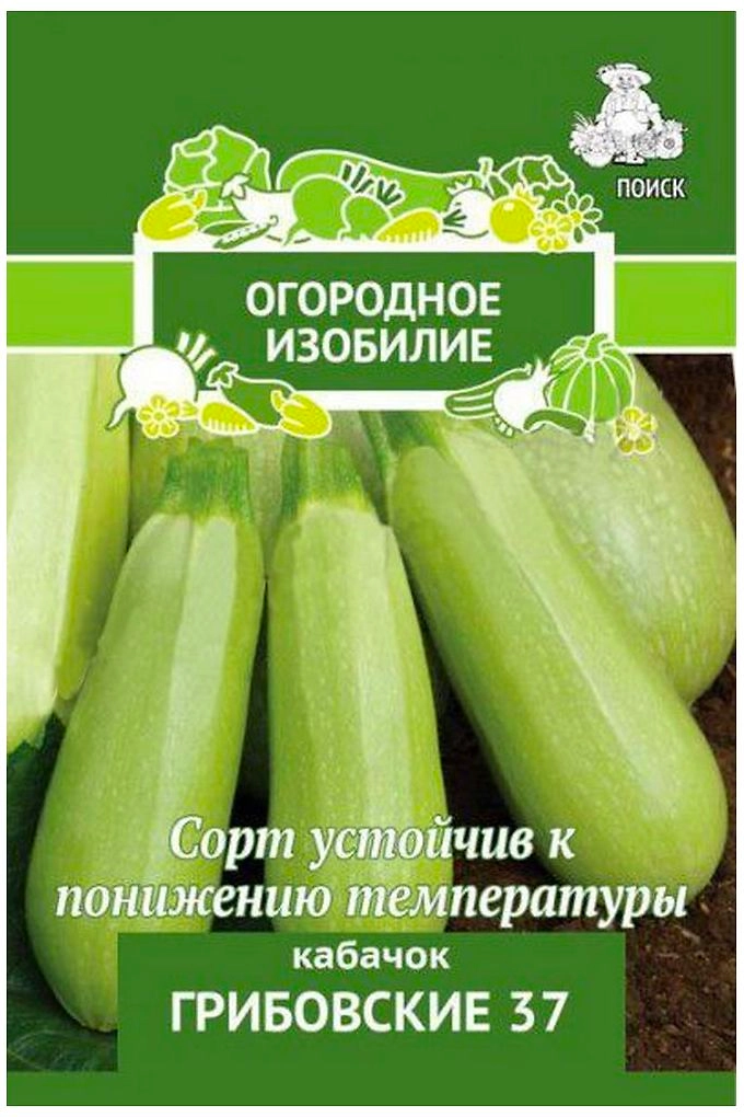 Семена Кабачка ПОИСК Грибовские 37 12 x 1 г
