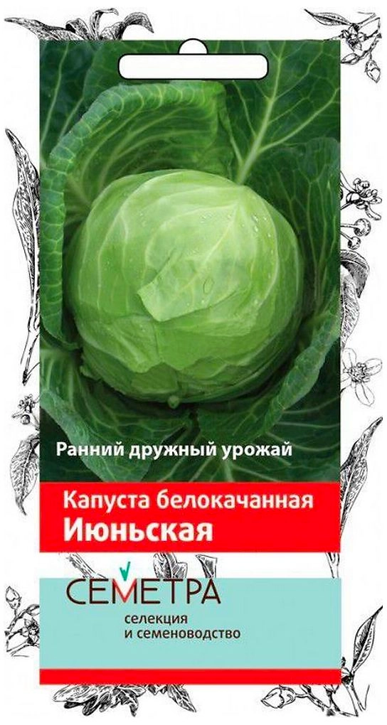 Семена Капусты ПОИСК СЕМЕТРА Июньская 0,5 г