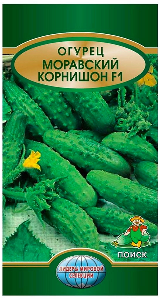 Семена Огурца-корнишона ПОИСК Моравский 0,1 г