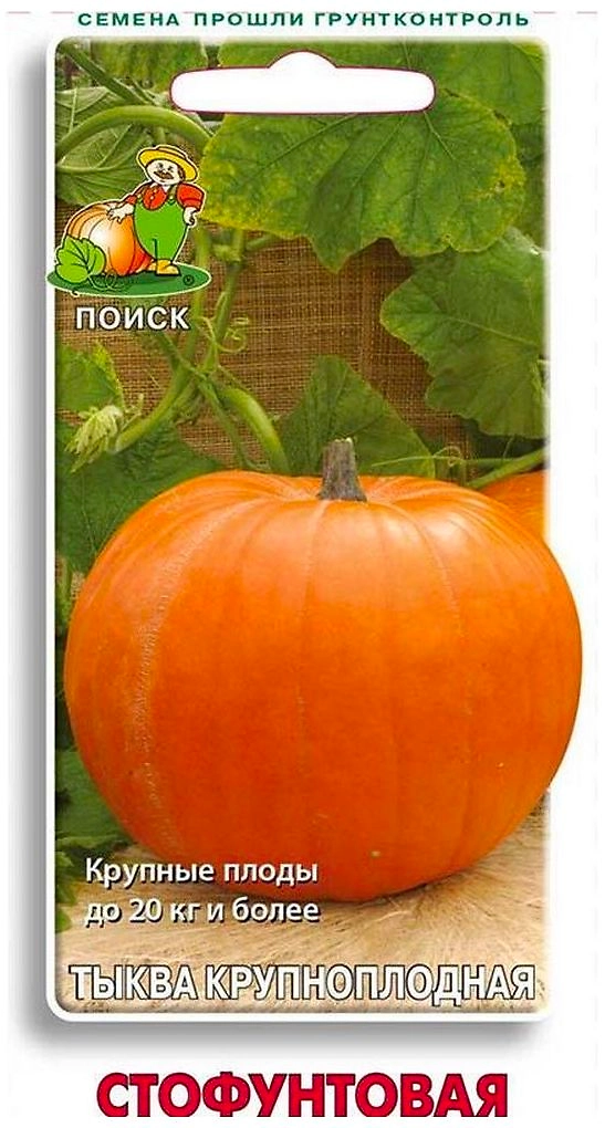 Семена Тыквы крупноплодной ПОИСК Стофунтовая 10 шт