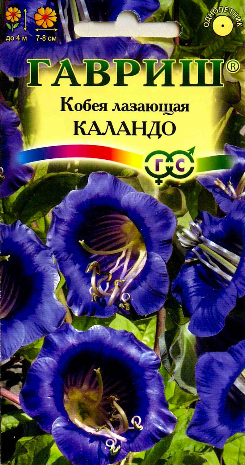 Семена Кобеи ГАВРИШ Лазающая Каландо 4 г 5 шт