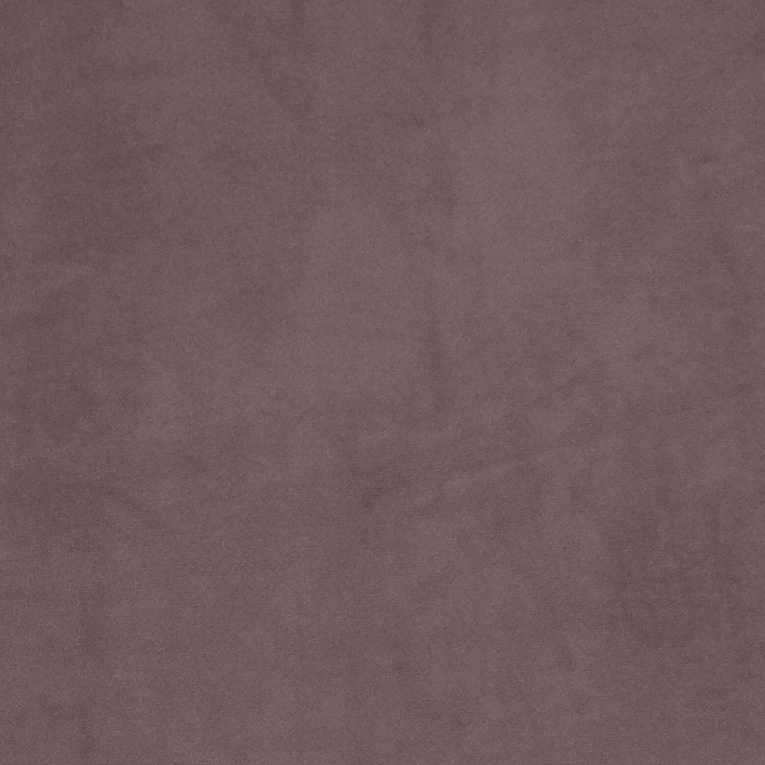 Штора портьерная бархатная 160х280 см 1 шт светло-серая