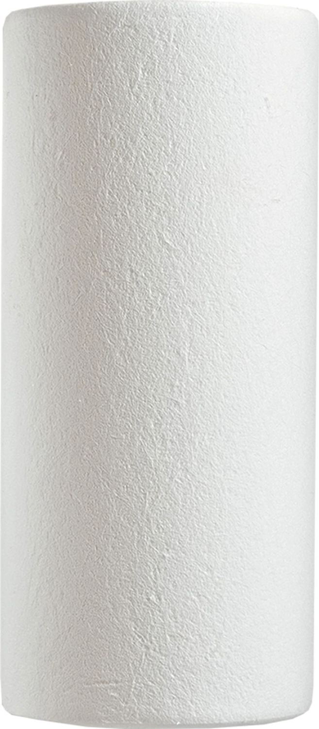 Сменный картридж Барьер Профи Big Blue 10 для холодной воды