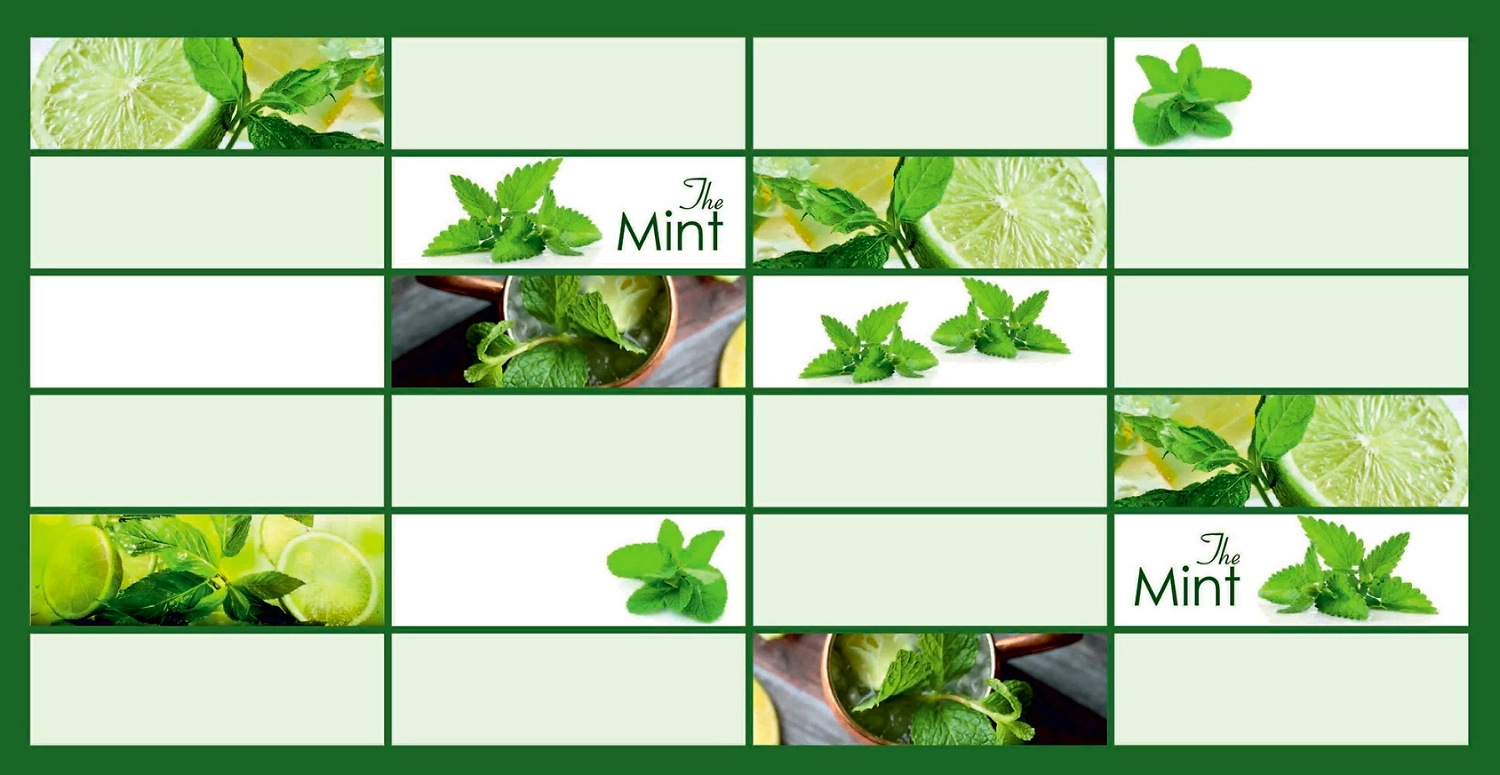 Панель ПВХ листовая Мята 480х955х3 мм