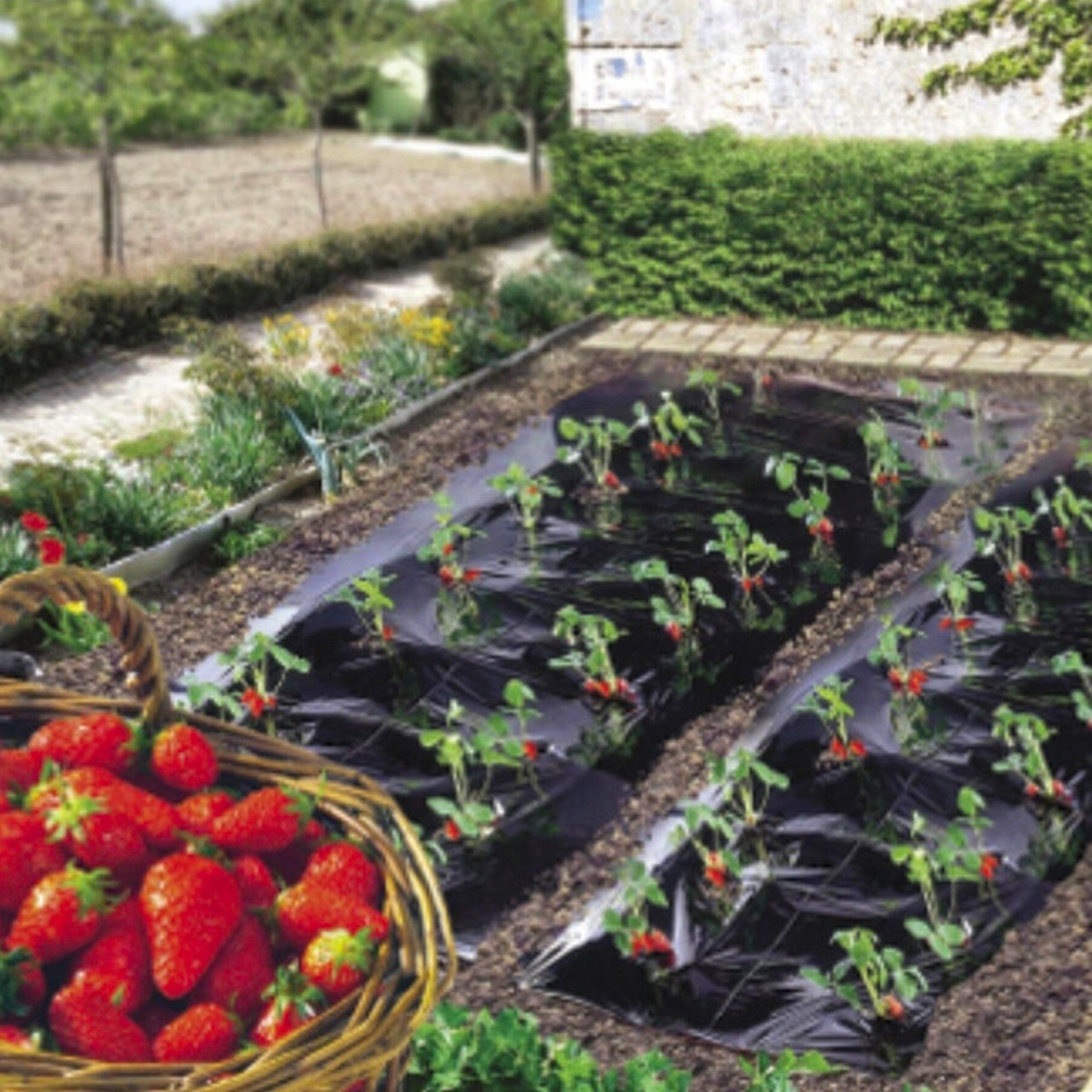 Мульчирующая пленка Planet Garden 1,4х20 м