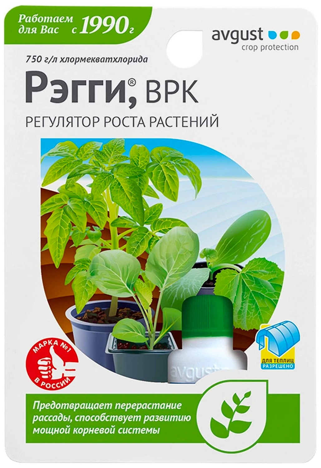 Стимулятор роста Avgust Рэгги для зерновых 10 г