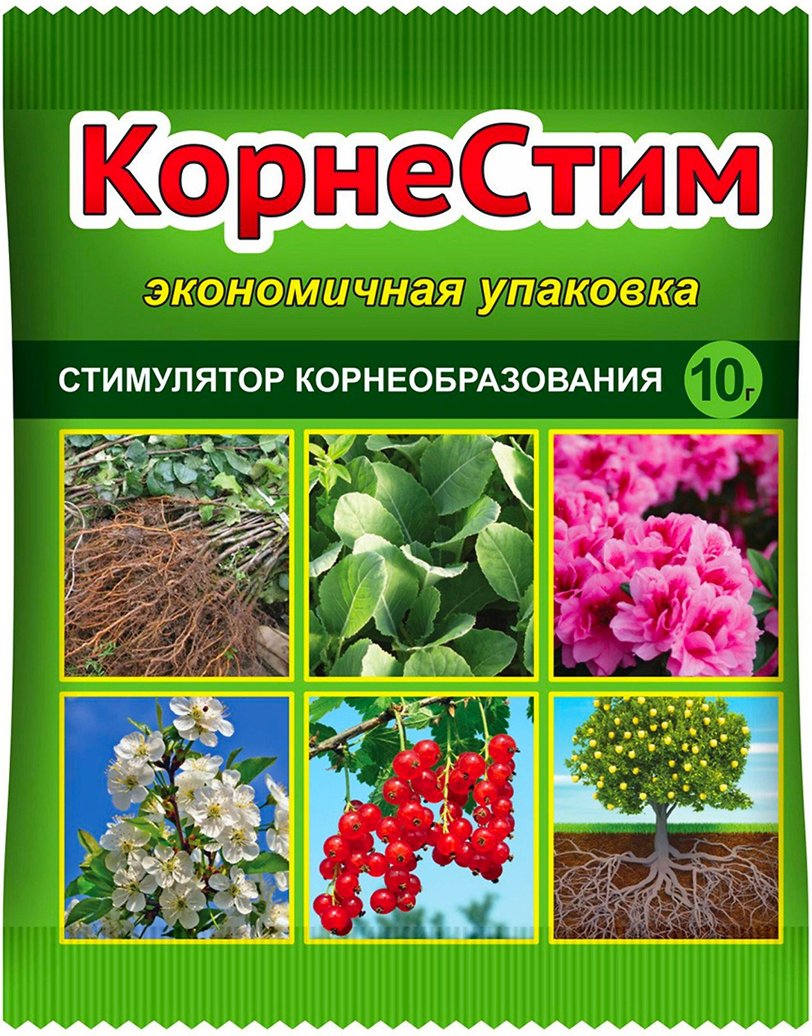 Стимулятор роста Ваше хозяйство КорнеСтим универсальный 10 гр