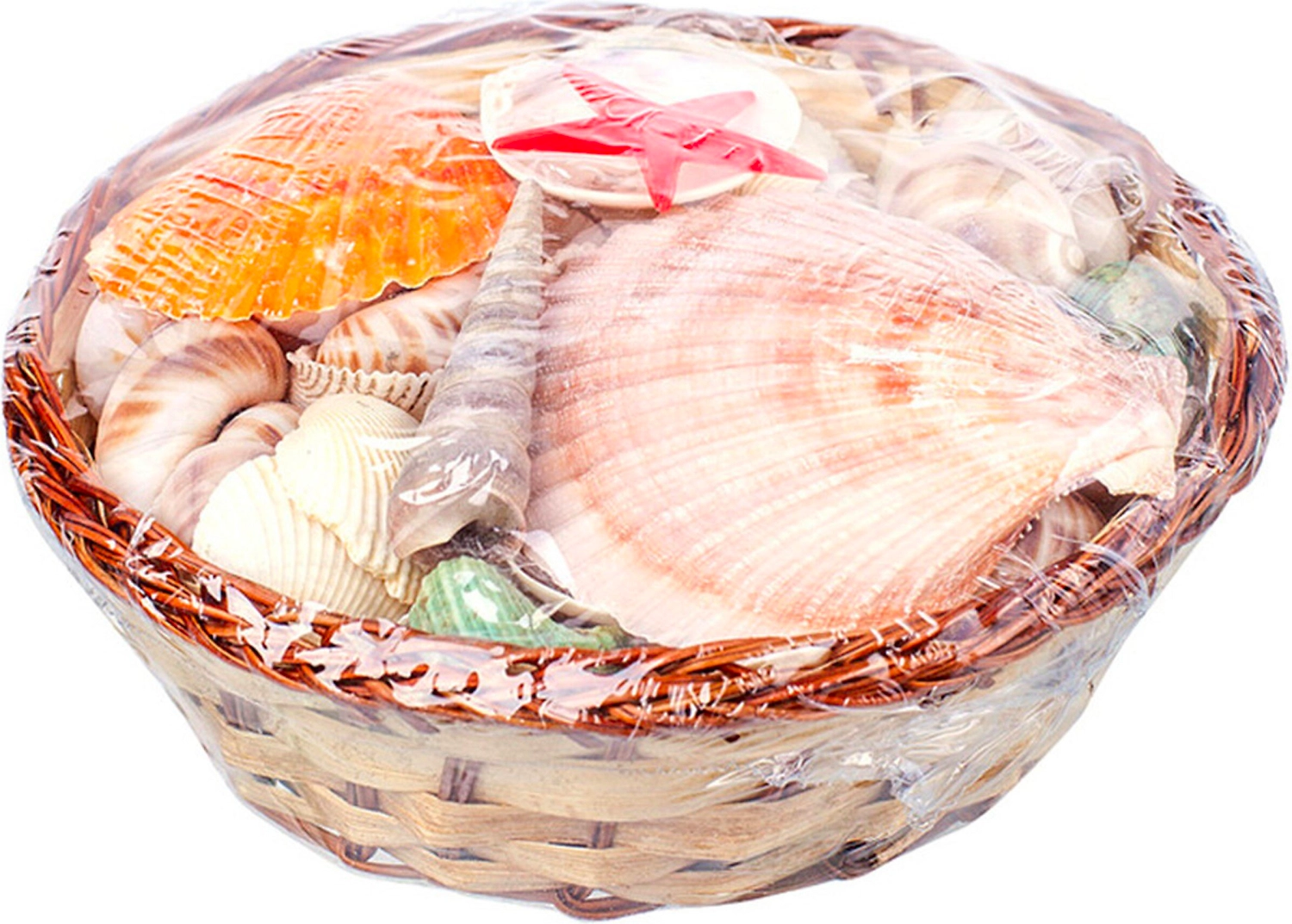 Набор ракушек в корзине 15 см 54 шт
