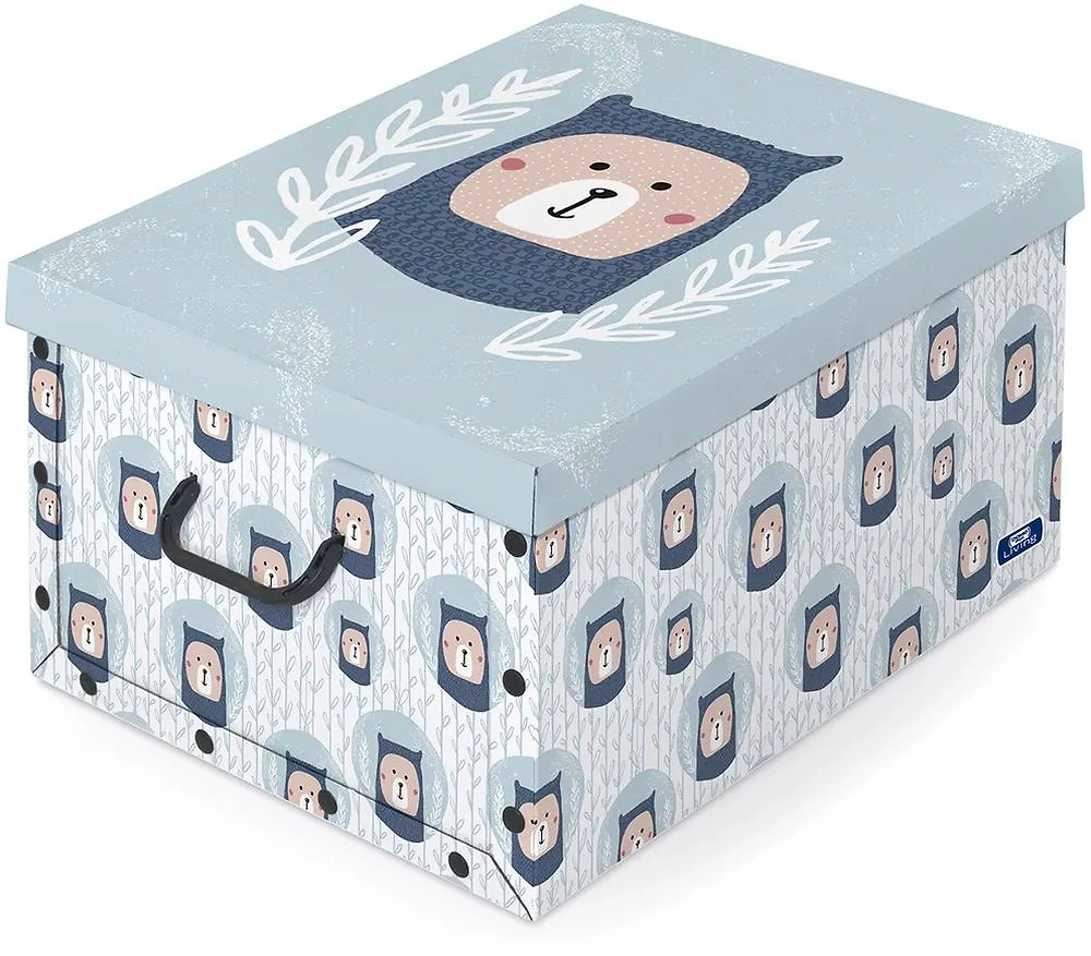 Коробка для хранения вещей Domopak DP914535M 39х50х24см