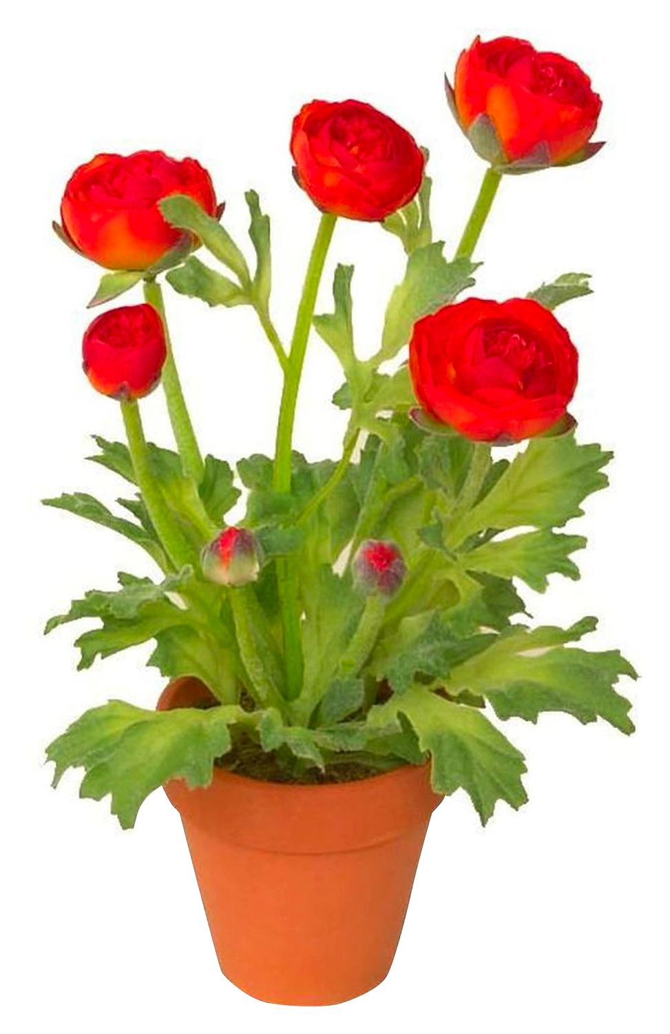 Искусственный цветок лютик 35 см оранжевый в горшке