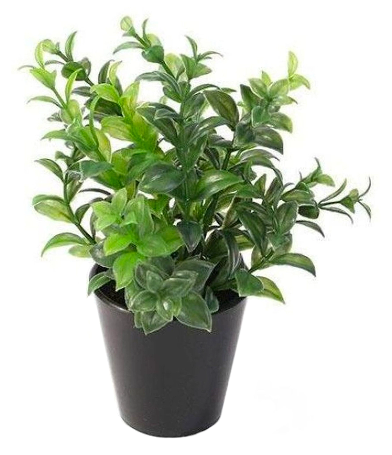 Искусственный цветок клюква 17 см зеленая в горшке