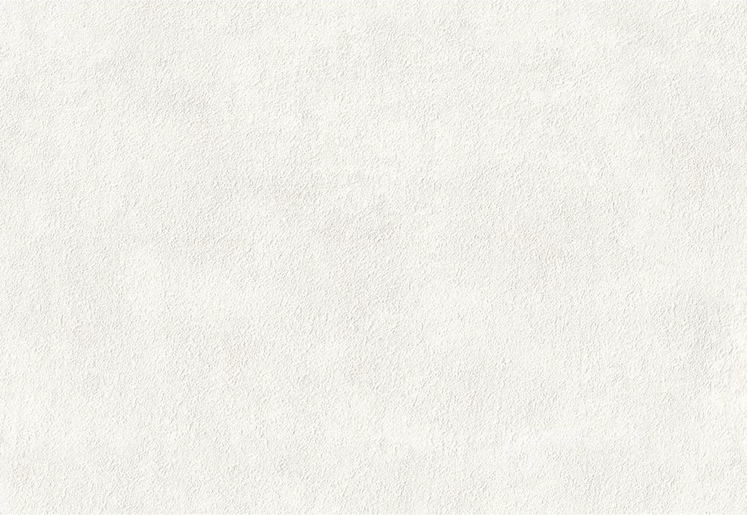 Виниловые обои Euro Decor Woods 7106-00 1,06х10,05 м белые