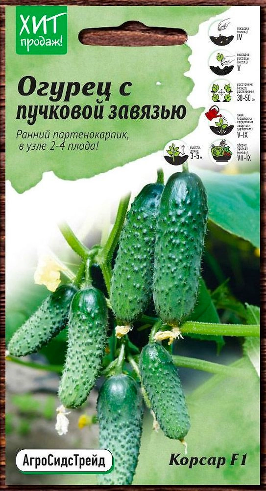 Семена ОгурцаКорсар МММ 7 шт