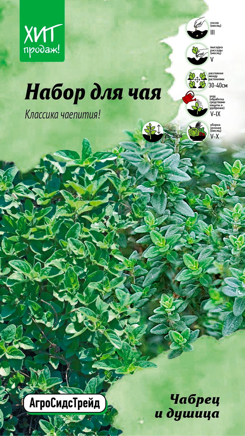 Семена Чабреца Душица набор для чая АСТ 0,15 г