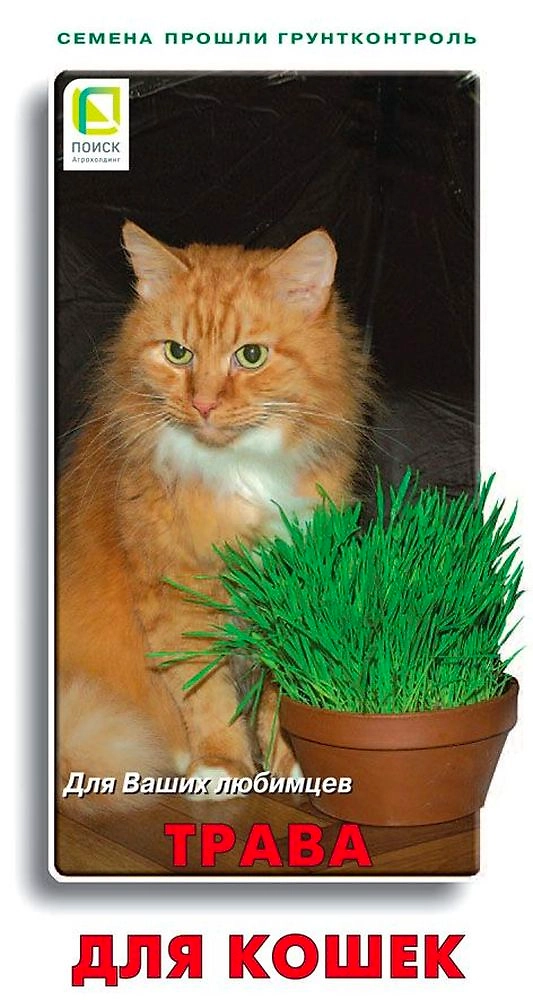Семена трава для кошек 5 г