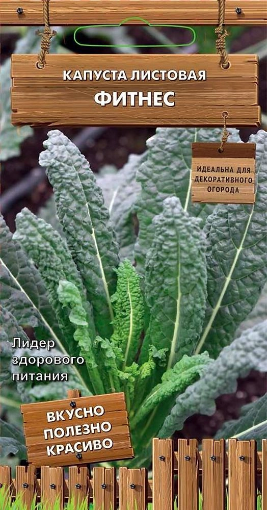 Семена Капусты листовая Фитнес 0,1 г