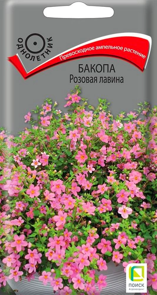 Семена Бакопы Розовая лавина 5 шт