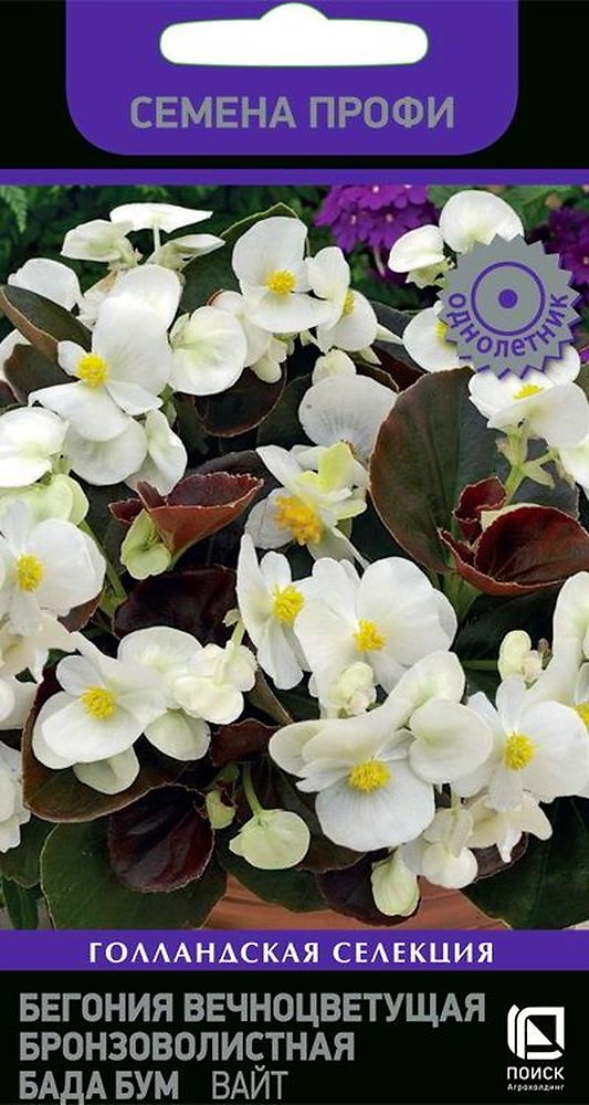 Семена Бегонии Бада бум вайт 15 шт