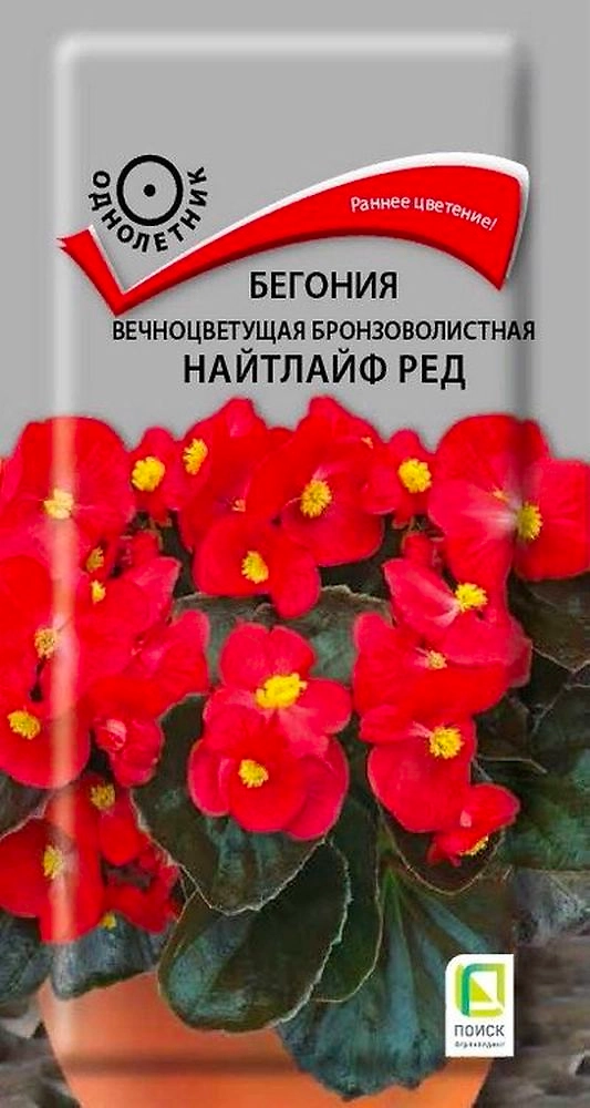 Семена Бегонии Найтлайф ред 15 шт