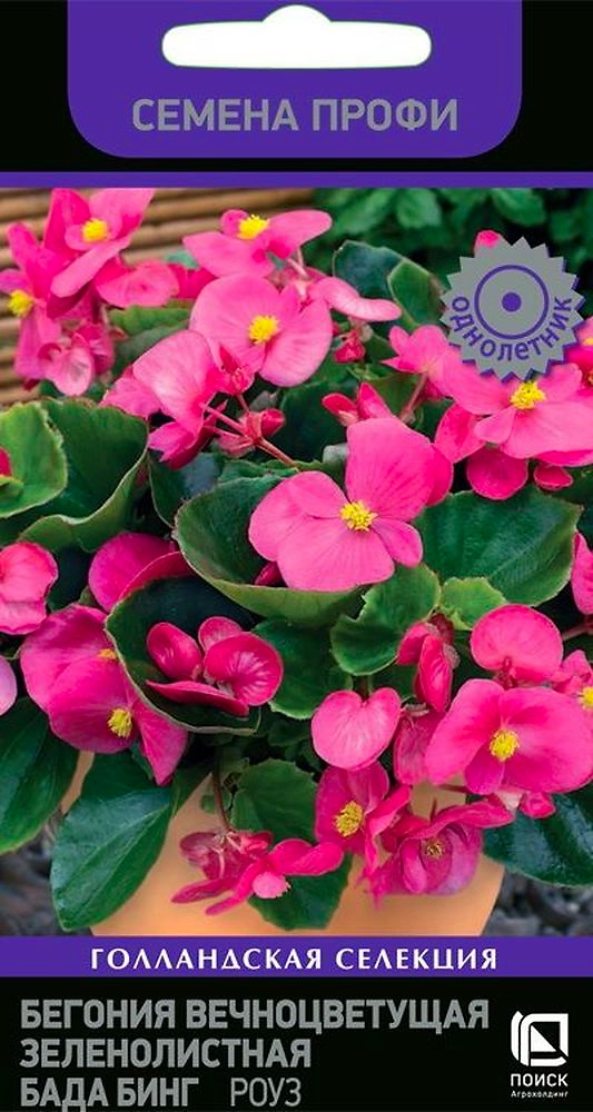 Семена Бегонии Бада бинг роуз 15 шт