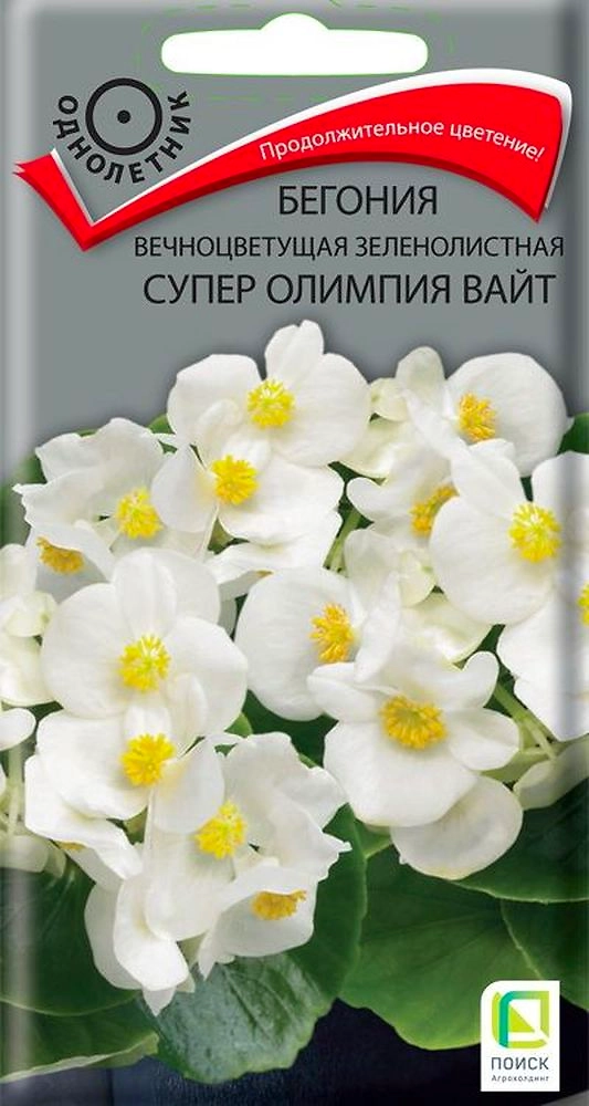 Семена Бегонии Супер олимпия ред 15 шт