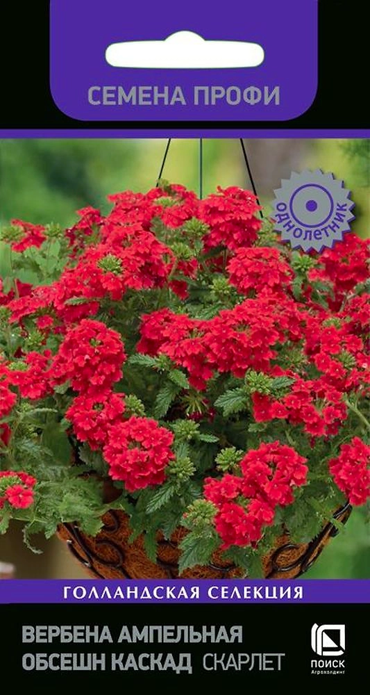Семена Вербена Каскад скарлет 7 шт