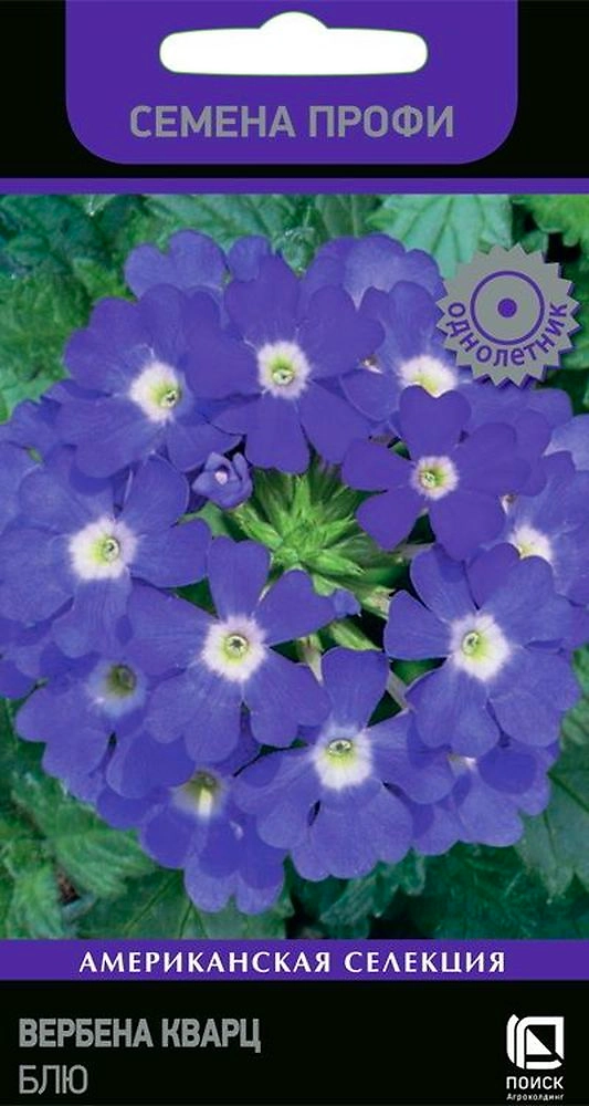 Семена Вербена Кварц блю 10 шт