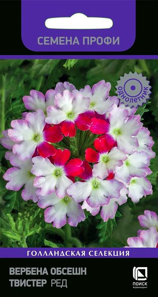 Семена Вербена Твистер ред 10 шт