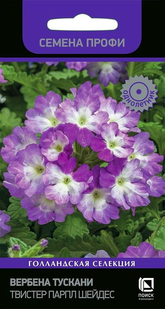 Семена Вербена Тускани 10 шт
